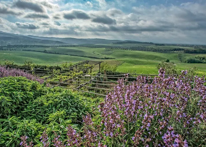Agriturismo Le Tassinaie