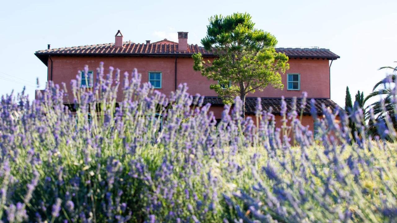 Le Tassinaie Castellina Marittima