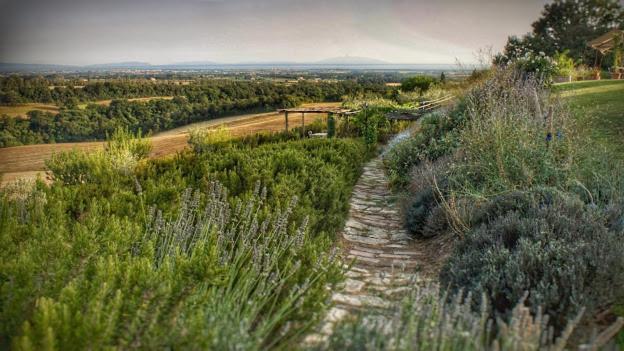 Le Tassinaie * Castellina Marittima